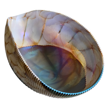 Iridescent Shell-shaped Sculptural Pleated Italian Art Glass Centerpiece Bowl