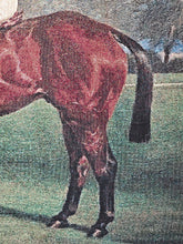 21st Century Woven Tapestry Blanket Throw Equestrian Theme