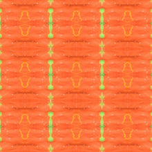 Belize Collection No. 51 - Decorative Pillow Cover