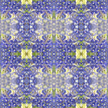 Bluebonnet Collection No. 2 - Decorative Pillow Cover