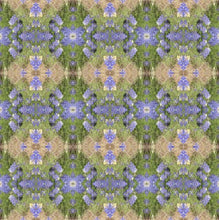 Bluebonnet Collection No. 3 - Decorative Pillow Cover