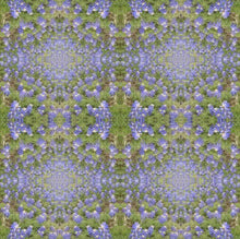 Bluebonnet Collection No. 4 - Decorative Pillow Cover