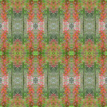 Botanicals Collection No. 21 - Decorative Pillow Cover