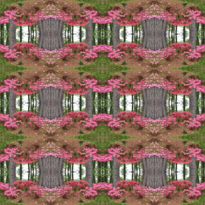 Azaleas Collection No. 3 - Decorative Pillow Cover
