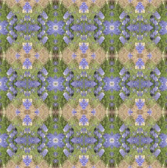 Bluebonnet Collection No. 3 - 1 Yard Fabric