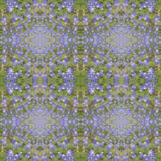 Bluebonnet Collection No. 4 - 1 Yard Fabric