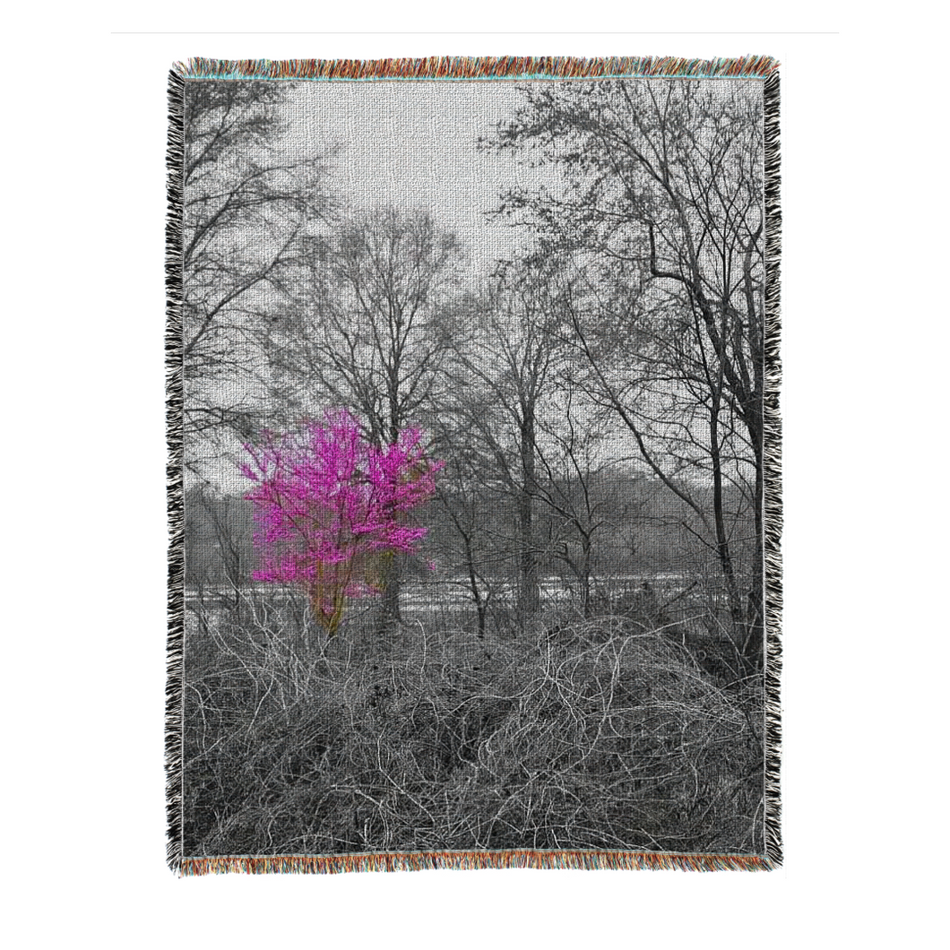 The Lone Tree Oversized Tapestry Blanket Throw Photography by Alice Lowe