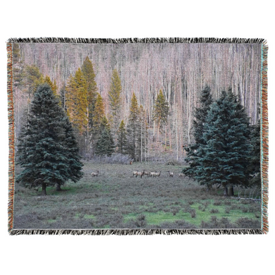 Roaming American Elk at New Mexico’s Jemez Mountains Oversized Woven Tapestry Blanket