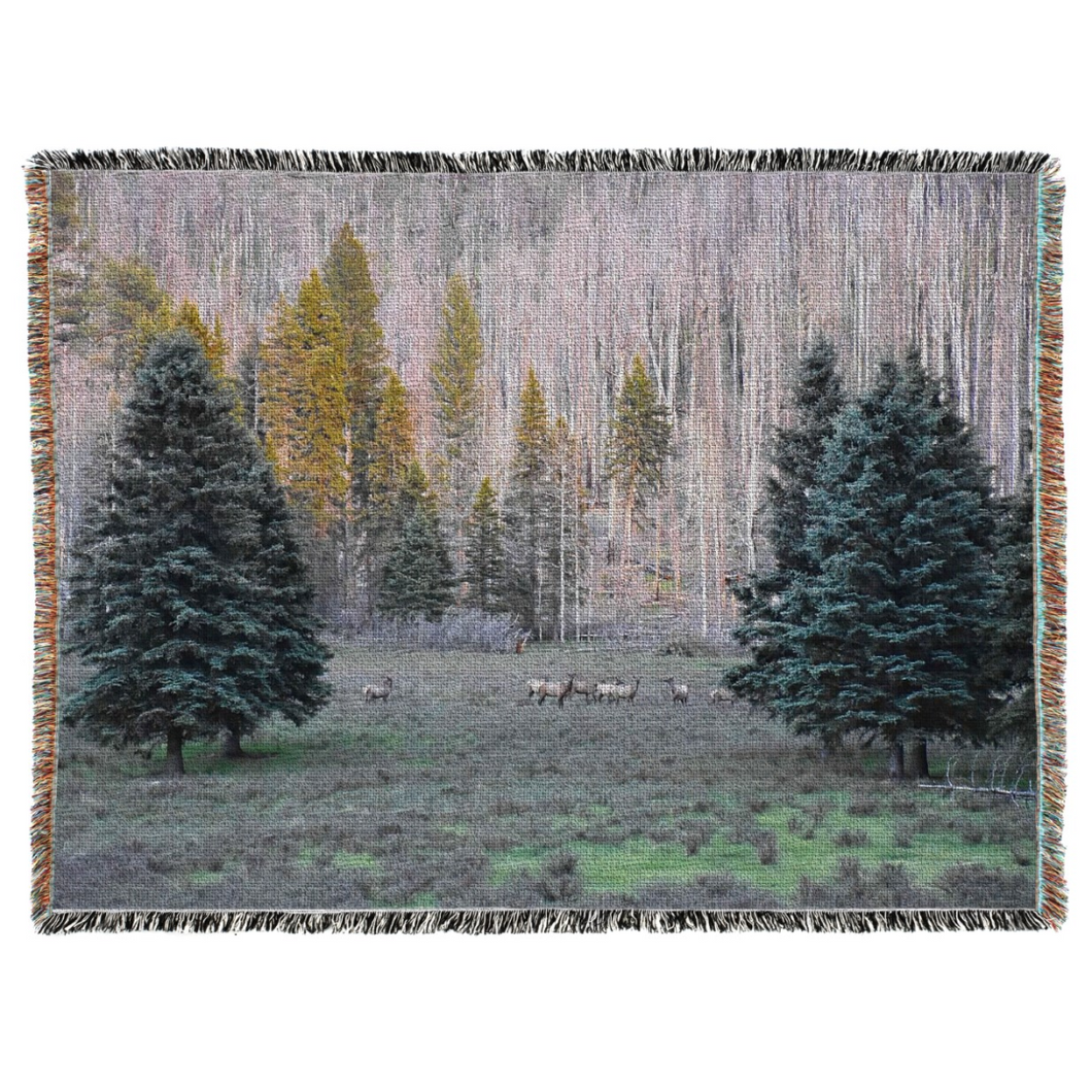Roaming American Elk at New Mexico’s Jemez Mountains Oversized Woven Tapestry Blanket