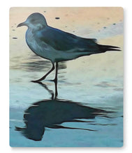 Sandpipers at Jax Beach Triptych Wall Art Metal Panels Photography by Alice Lowe
