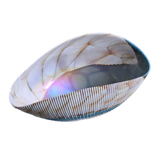 Iridescent Shell-shaped Sculptural Pleated Italian Art Glass Centerpiece Bowl