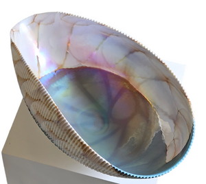 Iridescent Shell-shaped Sculptural Pleated Italian Art Glass Centerpiece Bowl