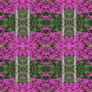 Azaleas Collection No. 7 - Decorative Pillow Cover