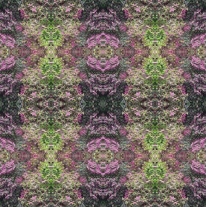 Botanicals Collection No. 50 - Decorative Pillow Cover