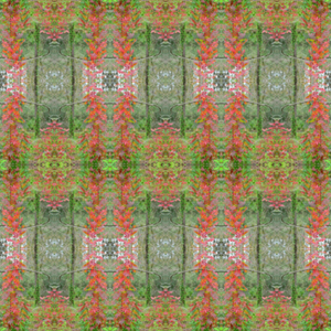 Botanicals Collection No. 21 - Decorative Pillow Cover