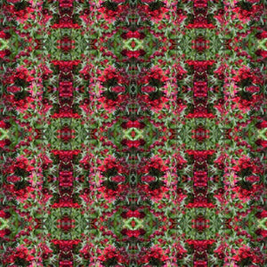 Botanicals Collection No. 26 - Decorative Pillow Cover
