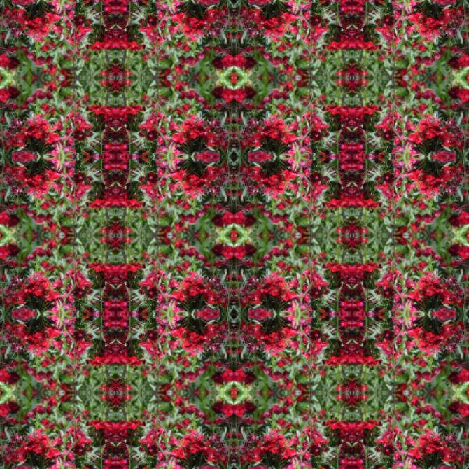 Botanicals Collection No. 26 - 1 Yard Fabric