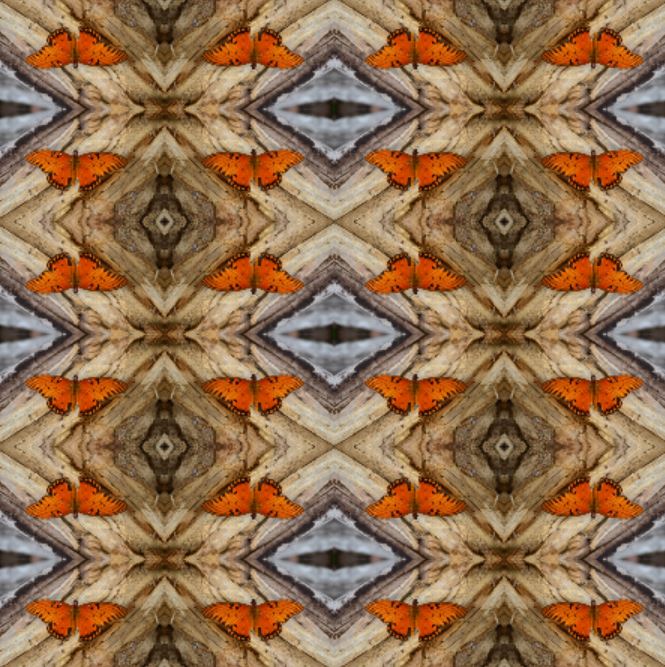 Papillon Collection No. 1 - 1 Yard Fabric
